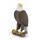 SEA EAGLE