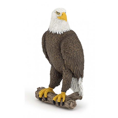 SEA EAGLE