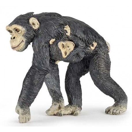 Chimpanzé et son bébé