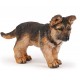 BÉBÉ BERGER ALLEMAND
