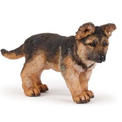 BÉBÉ BERGER ALLEMAND