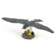 HAWK