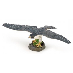 HAWK