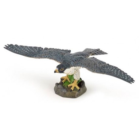 HAWK