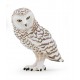 HARFANG DES NEIGES