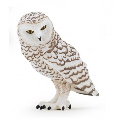HARFANG DES NEIGES