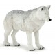 LOUP POLAIRE