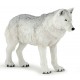 Polar wolf