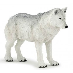 LOUP POLAIRE