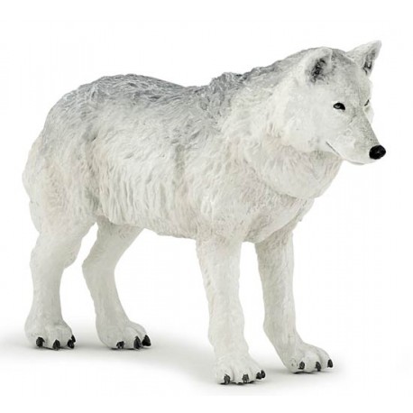 LOUP POLAIRE