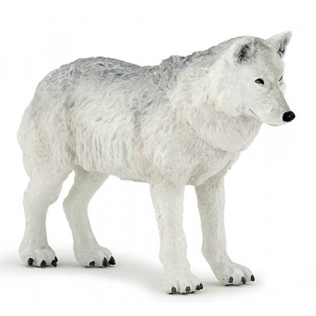 Polar wolf