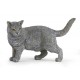 CHARTREUX