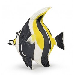 Moorish idol