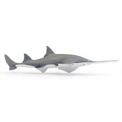 Sawfish