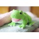 Soapsox William la grenouille