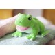 SOAPSOX William the frog