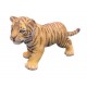 TIGER CUB