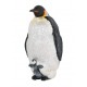 EMPEROR PENGUIN