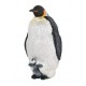 Emperor Penguin