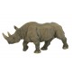 RHINOCÉROS NOIR