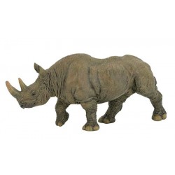 Rhinocéros noir