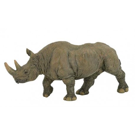 Black rhinoceros