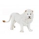 WHITE LION