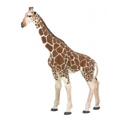 Girafe
