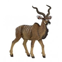 Great kudu