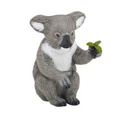 KOALA