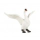 CYGNE BLANC
