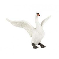 CYGNE BLANC