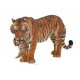 TIGRESS WITH CUB