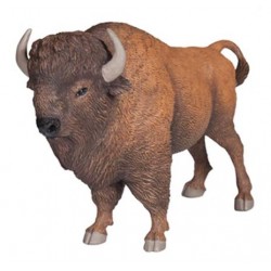 BISON D'AMÉRIQUE