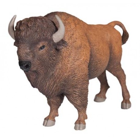 BISON D'AMÉRIQUE
