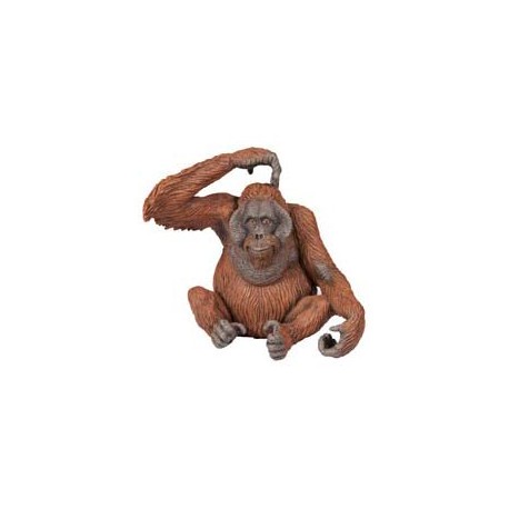 ORANG-OUTAN