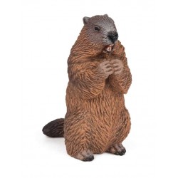 MARMOTTE