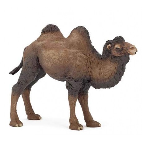 BACTRIAN CAMEL