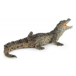 BÉBÉ CROCODILE
