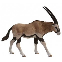 Antilope Oryx