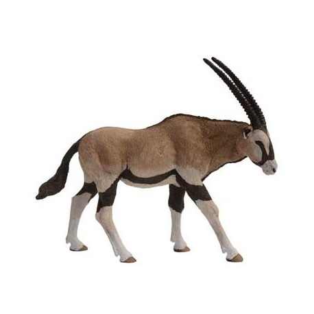 Antilope Oryx