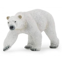 Polar bear