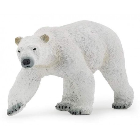 OURS POLAIRE