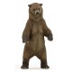 GRIZZLY