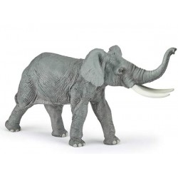 Éléphant