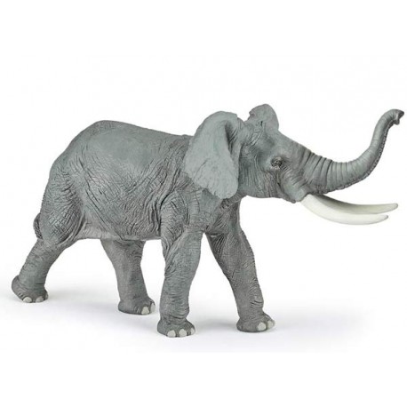 ÉLÉPHANT