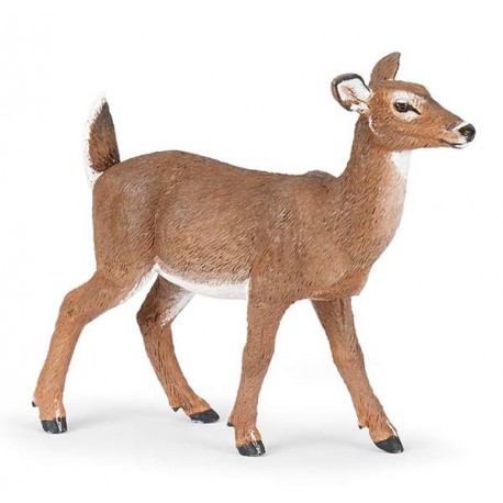 White-tailed doe