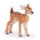 WHITE-TAILED FAWN
