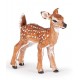 White-tailed fawn