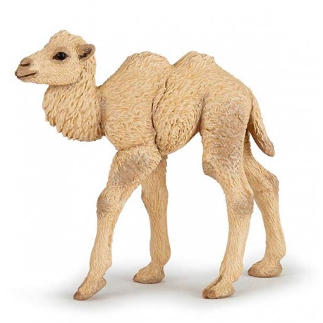CAMEL CALF